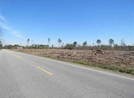 SOLD!!  29 Acres of Hunting and Timber Land For Sale in Robeson County NC!