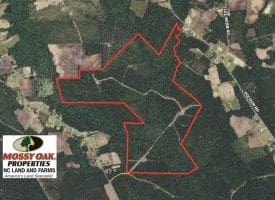 SOLD!!  365 Acres of Timber and Hunting Land For Sale in Columbus County NC!