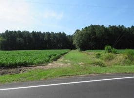 SOLD!!  10 Acres of Farm and Timber Land For Sale in Robeson County NC!