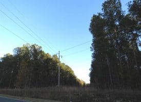 SOLD!!  7 Acres of Residential Land For Sale in Bladen County NC!
