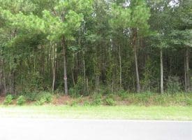 SOLD!!  4 Acres of Residential Land For Sale in Bladen County NC!