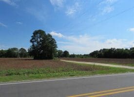 SOLD!!  19 Acres of Farm Land For Sale in Robeson County NC!