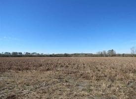 SOLD!!  110 Acres of Farm and Timber Land For Sale in Columbus County NC!