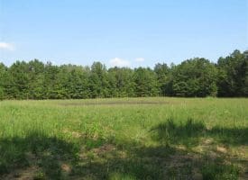 SOLD!!  174 Acres of Hunting Land For Sale in Dillon County SC!