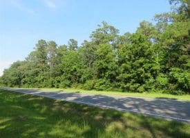 SOLD!!  5 Acres of Residential and Timber Land For Sale in Hoke County NC!