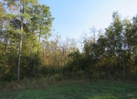 SOLD!!  122 Acres of Duck Hunting Land For Sale in Robeson County NC!