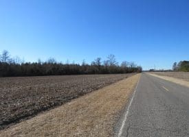 SOLD!!  70 Acres of Farm and Timber Land For Sale in Hoke County NC!