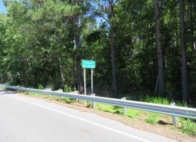 SOLD!!  460 Acres of Timber Land For Sale in Columbus County NC!