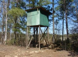 SOLD!!  36 Acres of Farm and Timber Land For Sale in Robeson County NC!
