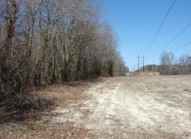 SOLD!!  50 Acres of Farm and Timber Land For Sale in Robeson County NC!