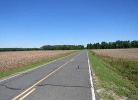 SOLD!! 380 Acres of Farm and Timber Land For Sale in Robeson and Hoke Counties!