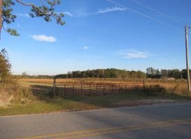 SOLD!  112 Acres of Farm and Recreational Land For Sale in Robeson County NC!
