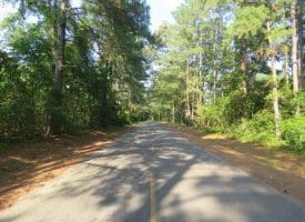 SOLD!! 25 Acres of Timber Land For Sale in Hoke County NC!