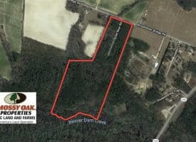 SOLD!  39 Acres of Timber and Hunting Land For Sale in Cumberland County NC!