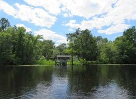 SOLD!! 65 Acres of Hunting and Residential Land For Sale in Horry County SC!