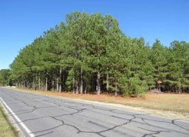 SOLD!!  58 Acres of Farm and Timber Land For Sale in Scotland County NC!