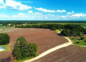 SOLD!!  19 Acres of Farm Land For Sale in Robeson County NC!