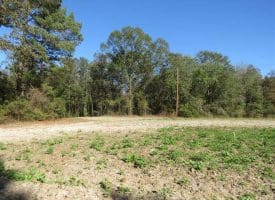 SOLD!!  58 Acres of Farm and Timber Land For Sale in Scotland County NC!