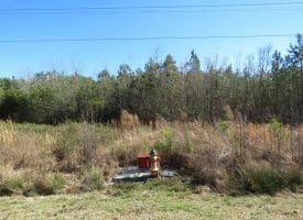 SOLD!!  50 Acres of Farm and Timber Land For Sale in Cumberland County NC!