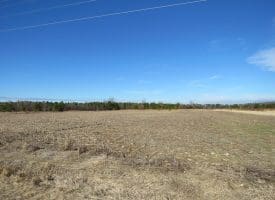 SOLD!!  70 Acres of Farm and Timber Land For Sale in Hoke County NC!