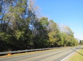 SOLD!!  122 Acres of Duck Hunting Land For Sale in Robeson County NC!