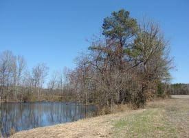 SOLD!!  50 Acres of Farm and Timber Land For Sale in Robeson County NC!