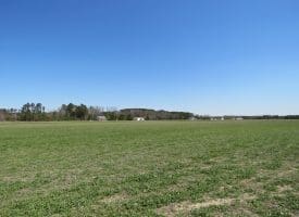 SOLD!!  58 Acres of Farm and Timber Land For Sale in Robeson County NC!