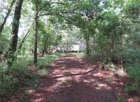 SOLD!  29 Acres of Hunting and Farm Land For Sale in Duplin County NC!