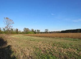 SOLD!  112 Acres of Farm and Recreational Land For Sale in Robeson County NC!