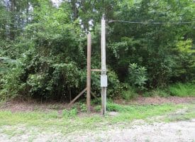 SOLD!!  101 Acres of Hunting Land For Sale in Cumberland County NC!