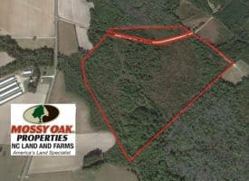 SOLD!! 71 Acres of Hunting Land For Sale in Bladen County NC!