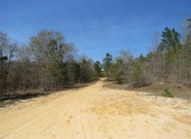 SOLD!!  35 Acres of Hunting Land with Home Site in Scotland County NC!