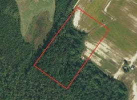 SOLD!!  20 Acres of Farm and Hunting Land For Sale in Robeson County NC!