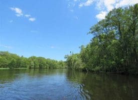 SOLD!! 65 Acres of Hunting and Residential Land For Sale in Horry County SC!