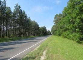 SOLD!!  5 Acres of Residential and Timber Land For Sale in Hoke County NC!