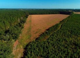SOLD!!  20 Acres of Farm Land For Sale in Robeson County NC!