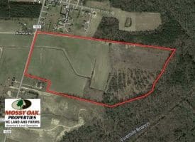 SOLD!!  73 Acres of Farm and Timber Land For Sale in Robeson County NC!