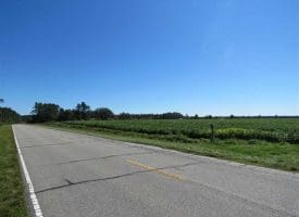 SOLD!!  97 Acres of Farm and Timber Land For Sale in Columbus County NC!