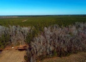 SOLD!!  2.45 Acres of Residential Land For Sale in Pender County NC!