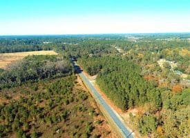 SOLD!!  58 Acres of Farm and Timber Land For Sale in Scotland County NC!