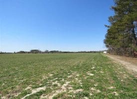 SOLD!!  73 Acres of Farm and Timber Land For Sale in Robeson County NC!