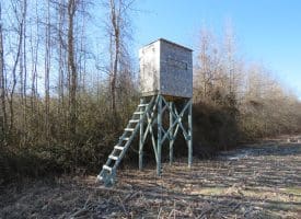 SOLD!!  70 Acres of Farm and Timber Land For Sale in Hoke County NC!