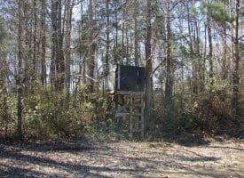 SOLD!!  36 Acres of Farm and Timber Land For Sale in Robeson County NC!