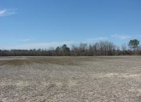 SOLD!!  50 Acres of Farm and Timber Land For Sale in Robeson County NC!