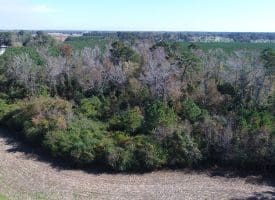 SOLD!! 23 Acres of Farm and Timber Land For Sale in Sampson County NC!