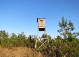 SOLD!!  106 Acres of Residential Farm and Timber Land For Sale in Sampson County NC!