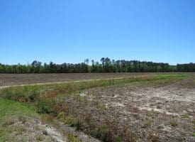 SOLD!! 76 Acres of Farm and Timber Land For Sale in Robeson County NC!