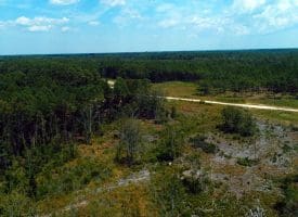 SOLD!! 7 Acres of Residential and Hunting Land For Sale in Brunswick County NC!
