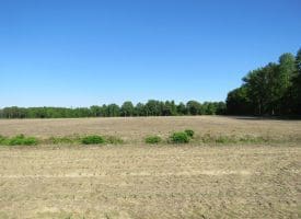 SOLD!! 380 Acres of Farm and Timber Land For Sale in Robeson and Hoke Counties!