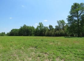 SOLD!! 26 Acres of Farm and Timber Land with Home Site For Sale in Bladen County NC!